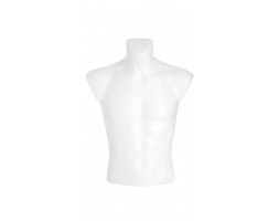 Male Torso